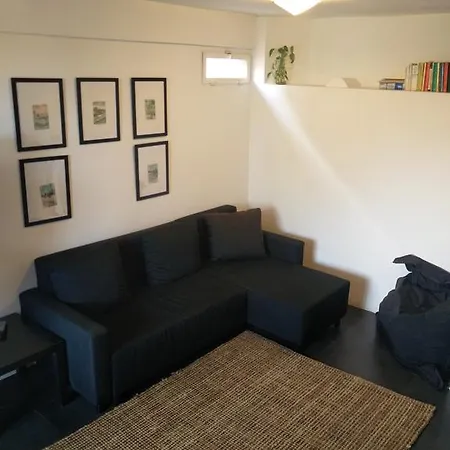 Duplex Gallese